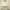 Kappa Vintage Sportswear Jersey Pria Cream
