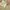 Kappa Vintage Sportswear Jersey Pria cream photo 3
