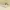 Converse Streetwear Casual Sneakers Pria tan photo 2