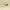 Converse Streetwear Casual Sneakers Pria tan photo 1