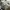 Converse Streetwear Casual Sneakers Pria tan photo 7