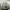Converse Streetwear Casual Sneakers Pria tan photo 8