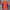 Mammut Sportswear Jersey Pria orange blue photo 1