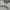 Starter Vintage Sportswear T-shirt Pria white photo 2
