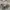 Polo Ralph Lauren Casual Sweatshirt Pria gray photo 3