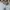 Polo Ralph Lauren Casual Formal shirt Pria white blue photo 2