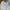 Polo Ralph Lauren Casual Formal shirt Pria white blue photo 1