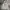 Stone Island Streetwear Casual Hoody Pria gray photo 1