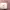 Elizabeth Streetwear Minimalist Shoulder bag Wanita white photo 1