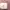 Elizabeth Streetwear Minimalist Shoulder Bag Wanita White