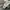 Adidas Sportswear Sweater Pria gray photo 5