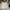 Polo Ralph Lauren Casual Track jacket Pria cream photo 1