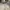 Polo Ralph Lauren Casual Track jacket Pria cream photo 2