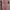 Minimalist Midi Dress Wanita Pink