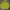 Dickies Streetwear Luxury Hoody Pria green photo 1