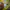 Dickies Streetwear Luxury Hoody Pria green photo 5