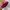 Dior Luxury Shoulder bag Wanita red photo 3
