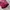 Dior Luxury Shoulder bag Wanita red photo 2