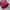 Dior Luxury Shoulder Bag Wanita Red