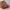 Dior Luxury Shoulder bag Wanita red photo 1