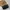 Chanel Luxury Shoulder bag Wanita black photo 1