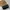 Chanel Luxury Shoulder Bag Wanita Black