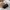 Chanel Luxury Shoulder bag Wanita black photo 2