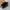 Chanel Luxury Shoulder bag Wanita black photo 4
