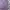 New Era Casual Pria Purple
