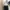 Grunge Avant Garde Wanita white black photo 7