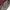 Balmain Luxury Casual Harrington jacket Pria brown photo 6
