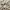 Longchamp Luxury Casual Harrington jacket Pria cream photo 3