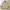 Longchamp Luxury Casual Harrington jacket Pria cream photo 1
