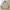 Longchamp Luxury Casual Harrington Jacket Pria Cream