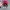 Minimalist Hat Pria red gray photo 2