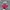 Minimalist Hat Pria red gray photo 1