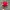 Vintage Y2K Hat Kids red photo 3