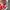 Vintage Y2K Hat Kids red photo 5