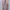 Stella McCartney Sportswear Legging Wanita pink photo 3