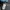 Burton Y2K Gorpcore Parka Pria blue photo 6