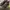 Asics Gorpcore Sportswear Sneakers Pria purple gray photo 5