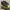 Asics Gorpcore Sportswear Sneakers Pria Purple Gray