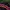 Japanese brand Y2K Casual Sweatshirt Pria navy red photo 5