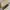 Jims Honey Casual Crossbody Bag Wanita tan photo 6
