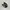 Adidas Casual Sneakers Pria white black photo 1