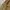 Vintage Y2K Sweatshirt Pria gold photo 3