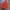 Stussy Vintage Streetwear T-shirt Pria red photo 1