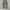 Dickies Streetwear Casual Casual pants Pria khaki photo 2