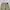 Dickies Streetwear Casual Casual pants Pria khaki photo 5