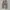 Dickies Streetwear Casual Casual pants Pria khaki photo 2